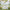 Kibi James - Delusions (Clear Vinyl) - LEVITATION