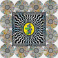 King Gizzard - Field of Vision '25 (12 LP Box Set) - LEVITATION
