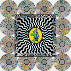 King Gizzard - Field of Vision '25 (12 LP Box Set) - LEVITATION