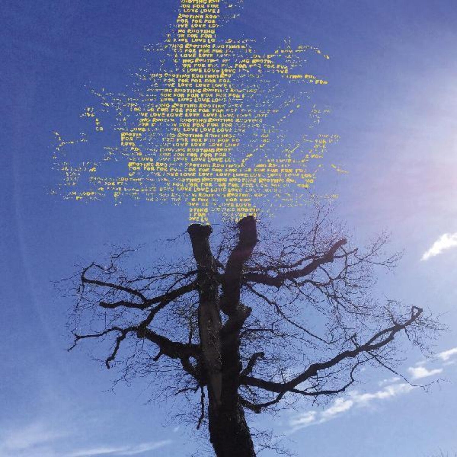 Laetitia Sadier - Rooting for Love - LEVITATION
