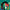 Las Robertas - Love is the Answer - Red - LEVITATION