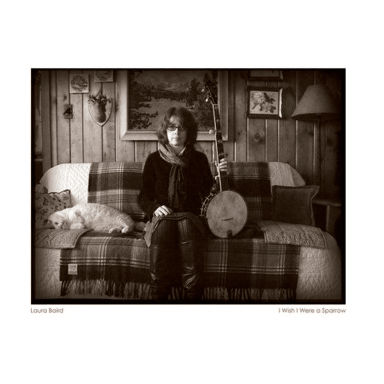 Laura Baird - I Wish I Were a Sparrow - LEVITATION