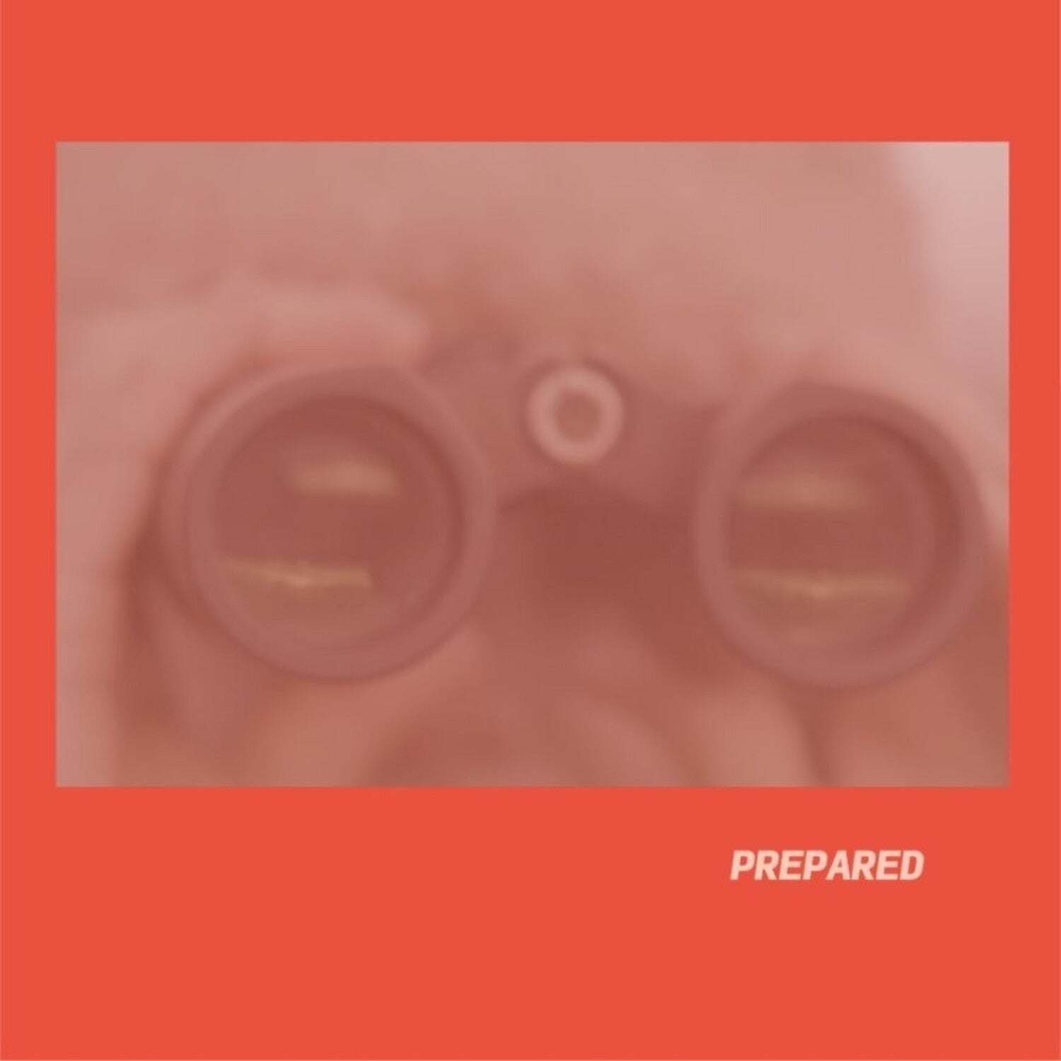Laura J Martin - Prepared - LEVITATION
