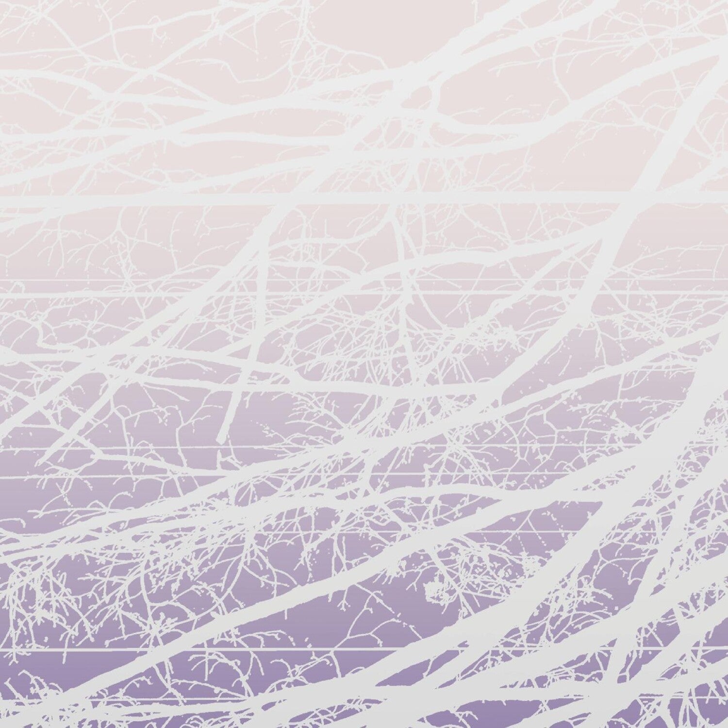 Lea Bertucci - Metal Aether / Resonant Field 2xLP - LEVITATION
