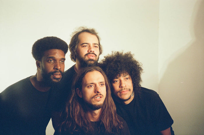 Boogarins