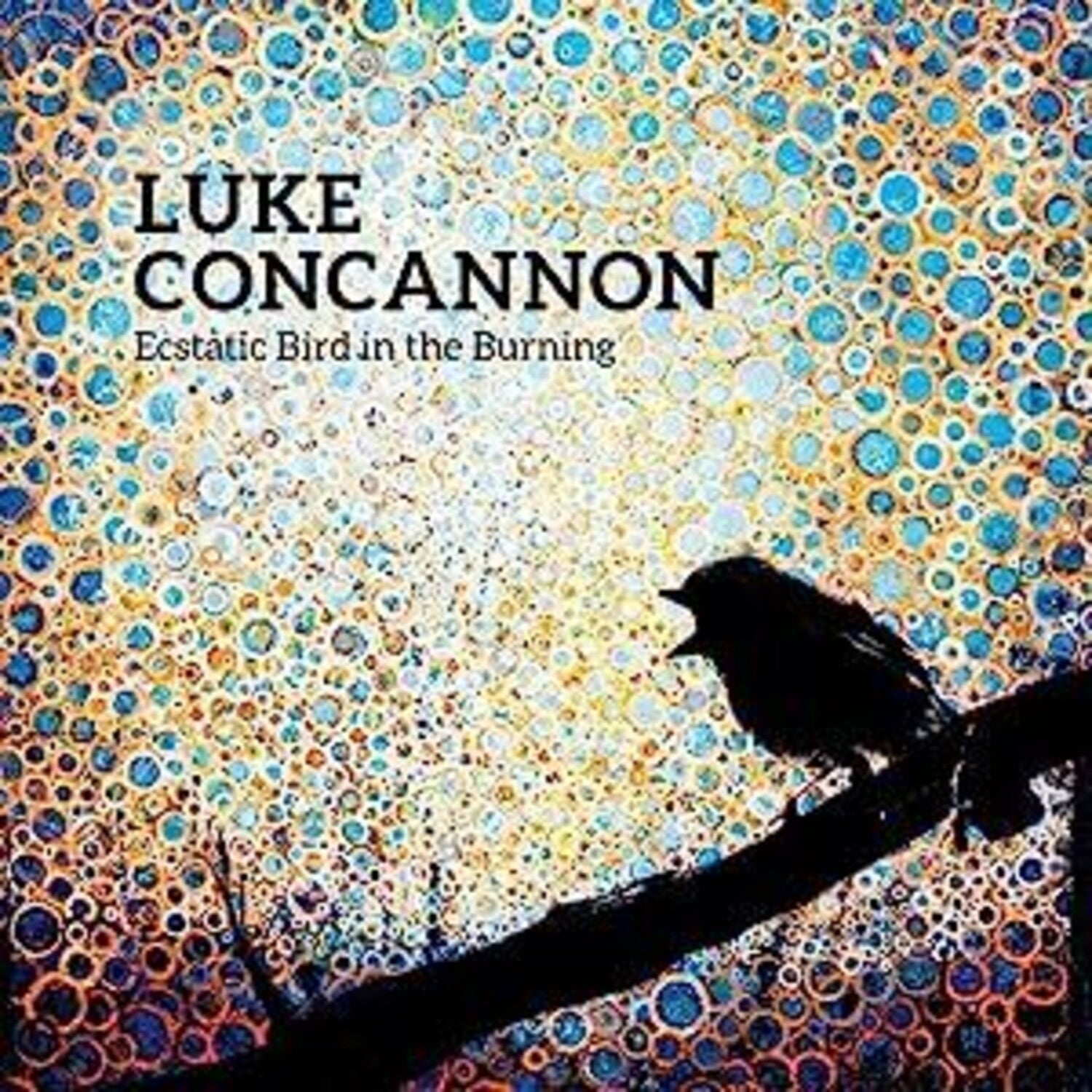 Luke Concannon - Ecstatic Bird in the Burning - LEVITATION