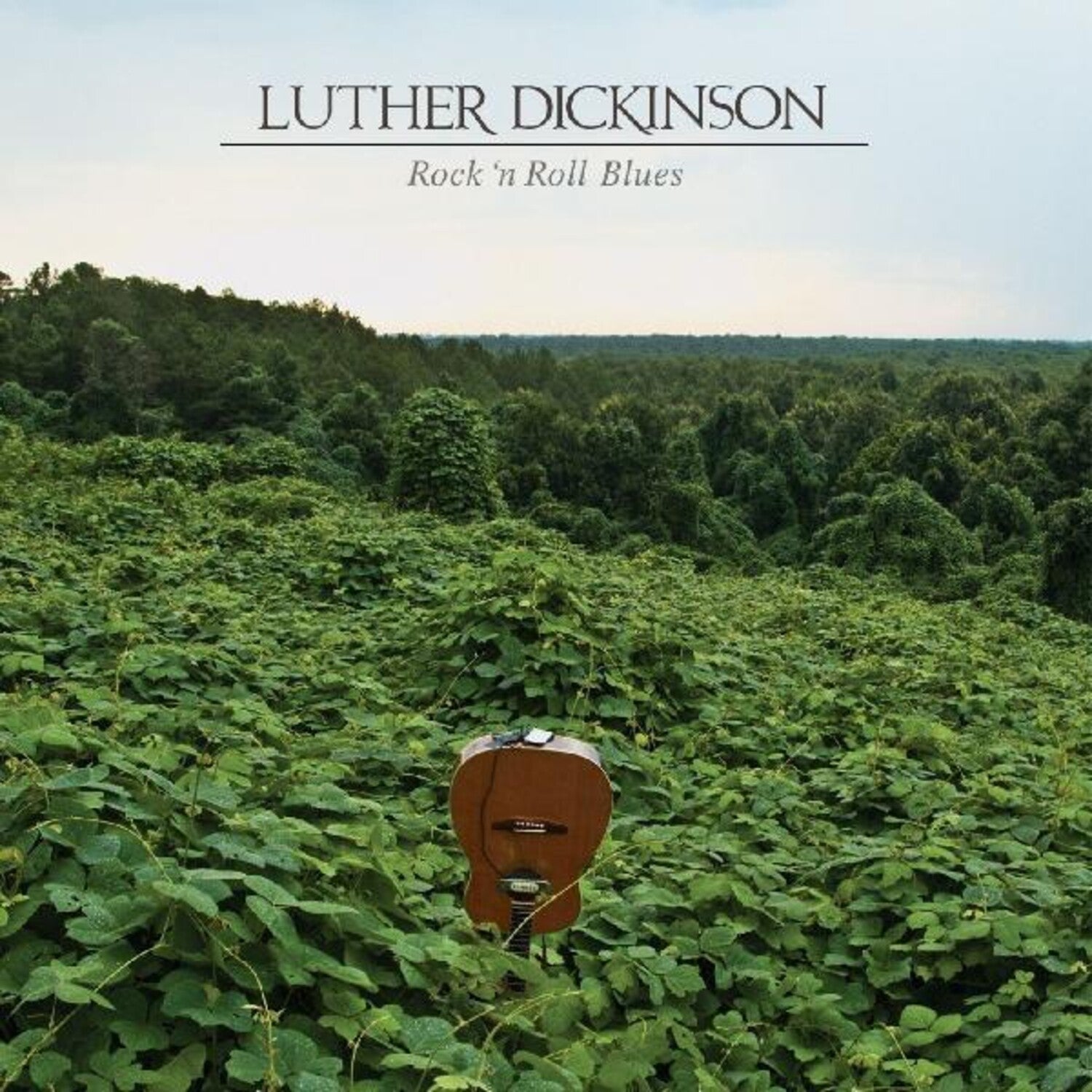 Luther Dickinson - Rock 'n Roll Blues (Clear Vinyl) - LEVITATION