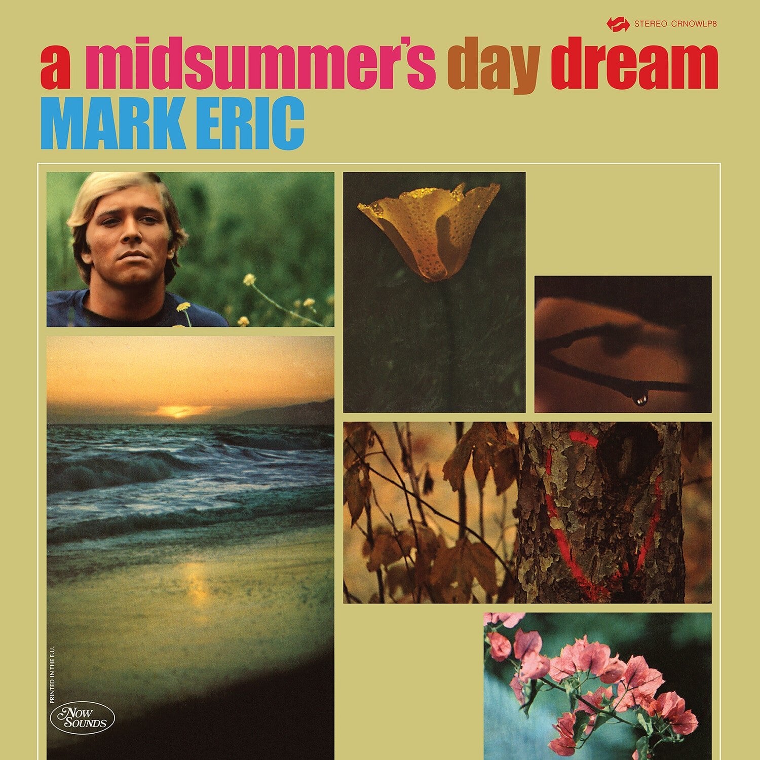 Mark Eric - Midsummers Daydream - LEVITATION