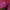 My Bloody Valentine - Loveless
