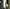 Melt-Banana - Mxbx 1998: 13, 000 Miles at Light Velocity (Cd) - LEVITATION