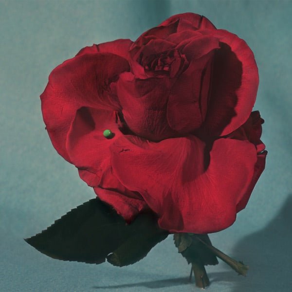 Metz - Up on Gravity Hill - LEVITATION