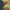 Mikal Cronin - Mikal Cronin - LEVITATION