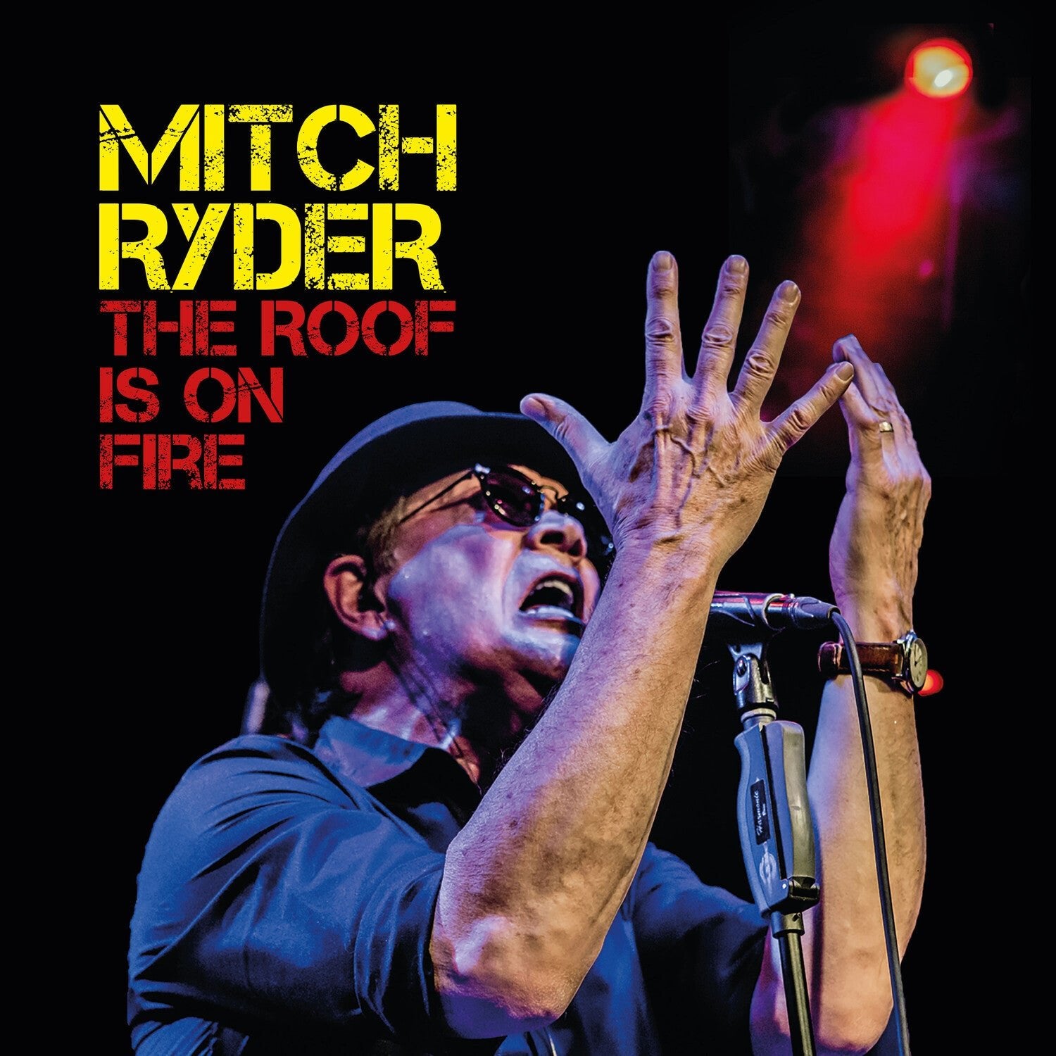 Mitch Ryder - The Roof is on Fire 2xLP - LEVITATION