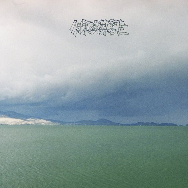 Modest Mouse - Fruit That Ate Itself - LEVITATION