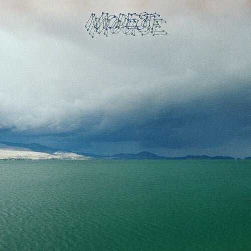 Modest Mouse - Fruit That Ate Itself - LEVITATION