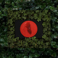 Moses Sumney - Live from Blackalachia 2xLP