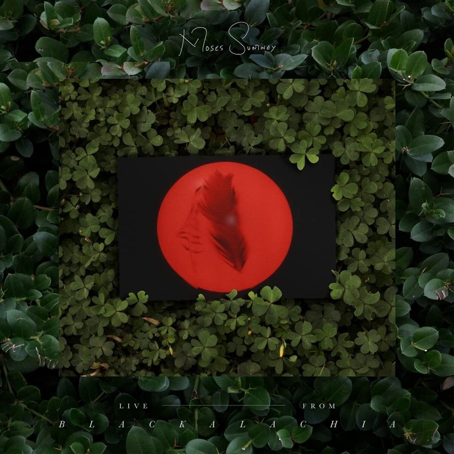 Moses Sumney - Live from Blackalachia 2xLP - LEVITATION