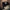 Motoharu Sano - Entertainment! (Limited Edition) - LEVITATION