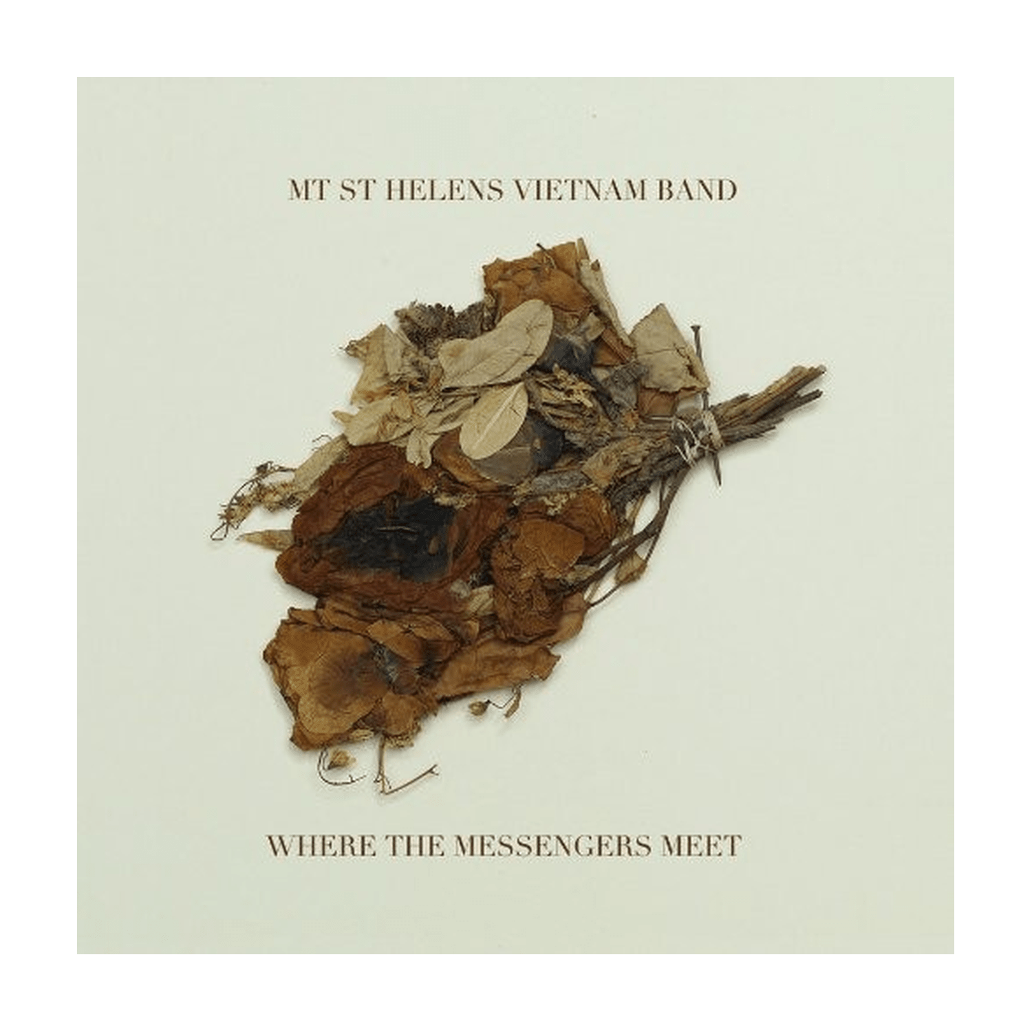 Mt St Helens Vietnam Band - Where the Messengers Meet - LEVITATION