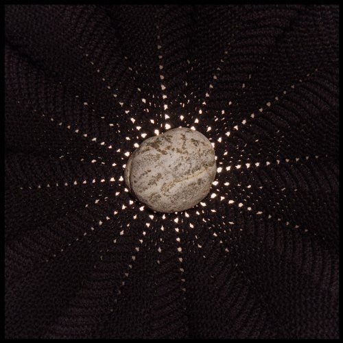 Nat Baldwin - In the Hollows - LEVITATION