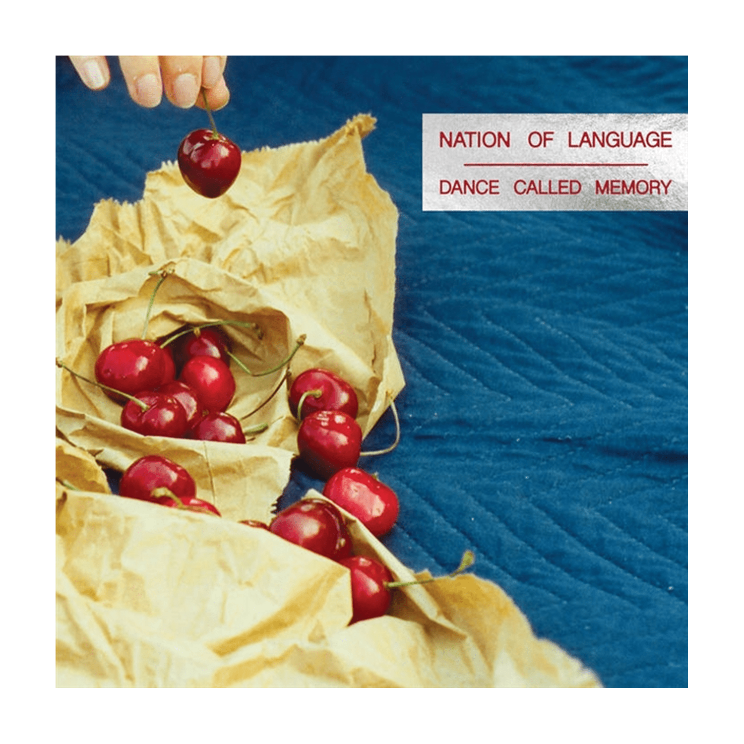 Nation of Language - Dance Called Memory - Clear W/ Black & Blue Mix (Clear Vinyl) - LEVITATION