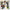 National - Laugh Track (Cd) - LEVITATION
