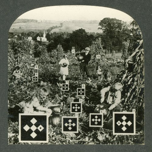 Nesey Gallons - Eyes and Eyes and Eyes Ago - LEVITATION