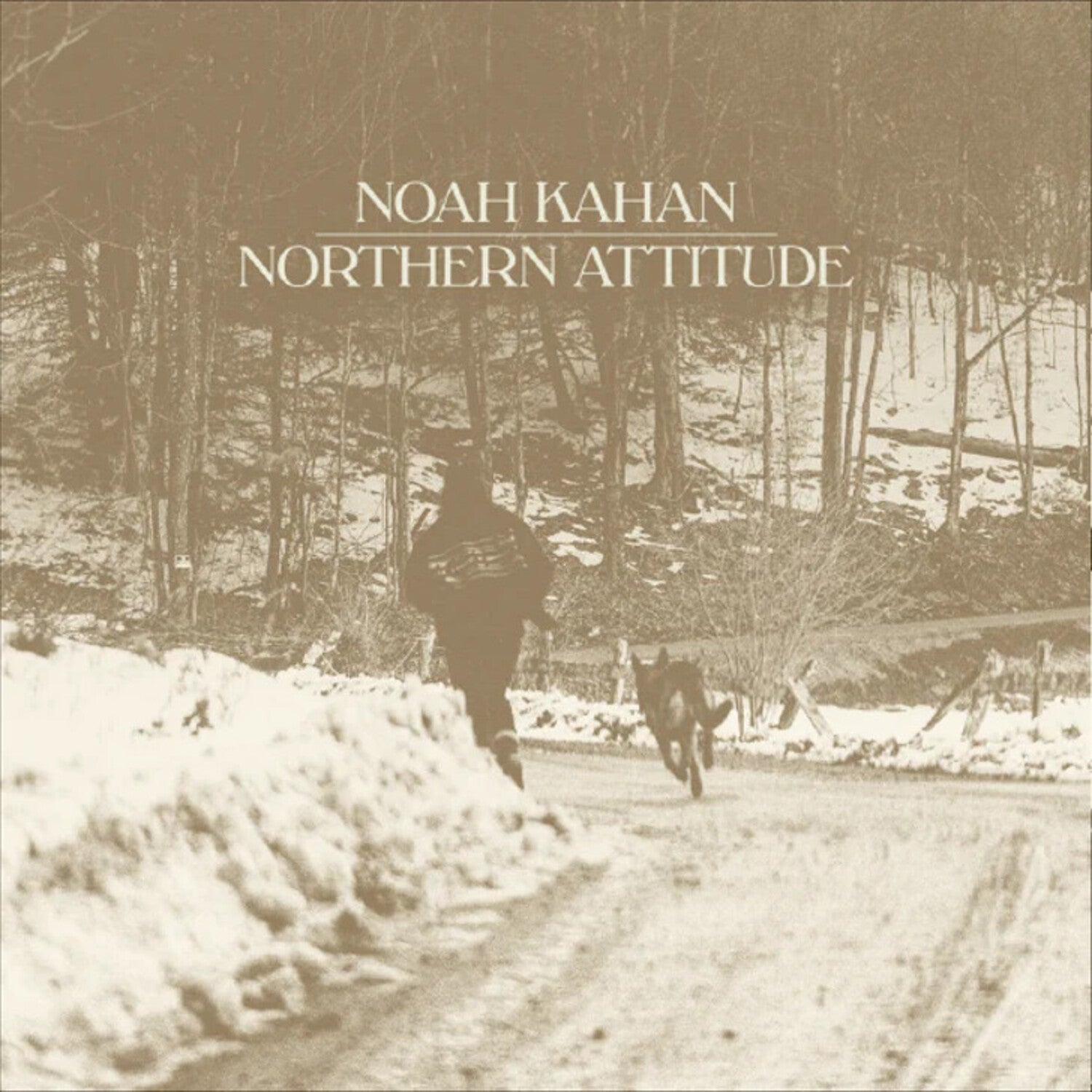 Noah Kahan - Northern Attitude - Black Ice Colored Vinyl with Poster - LEVITATION