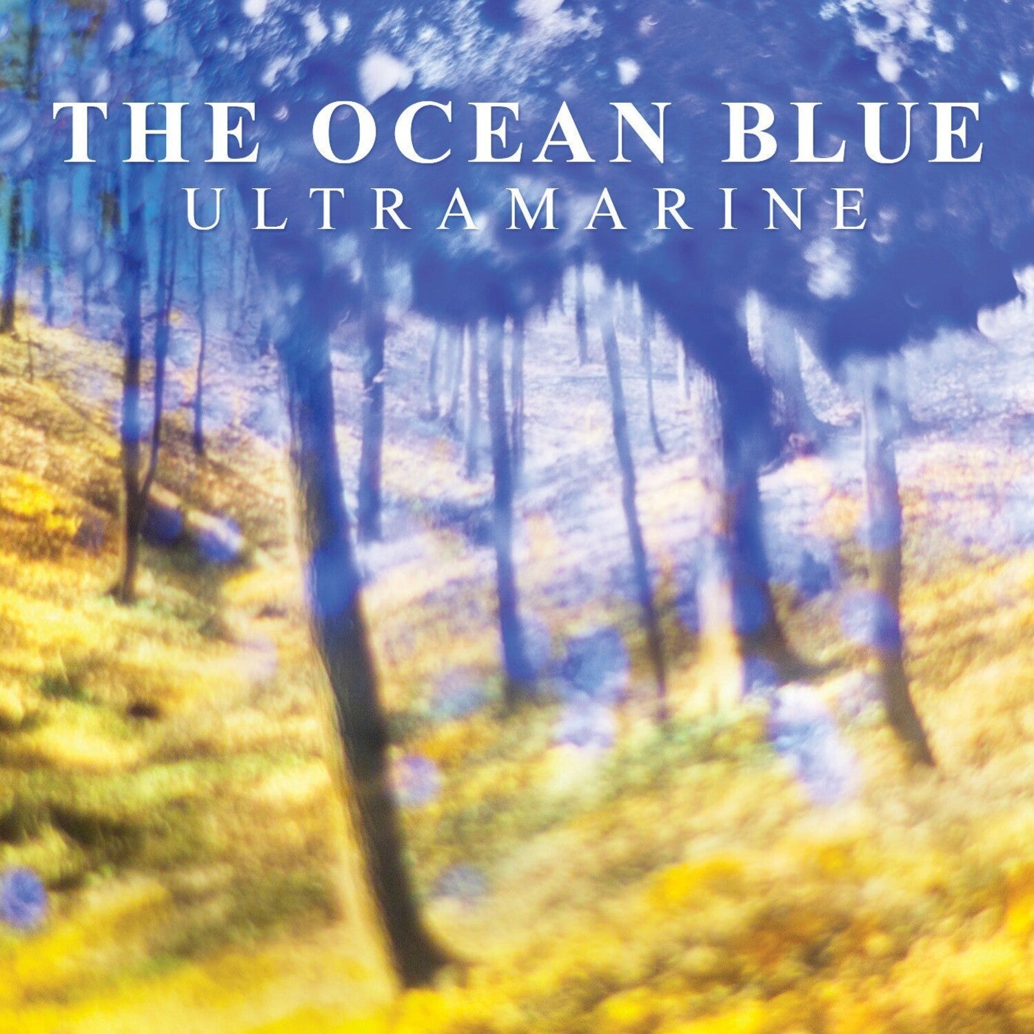 Ocean Blue - Ultramarine - LEVITATION