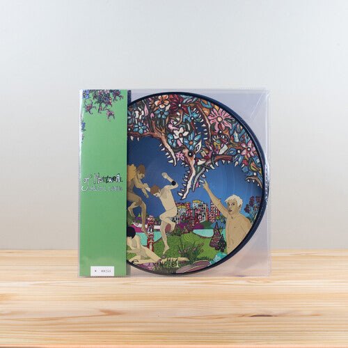 Of Montreal - Skeletal Lamping - LEVITATION