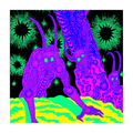 Osees - Abomination Revealed at Last