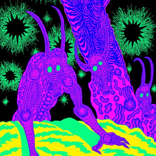 Osees - Abomination Revealed at Last - LEVITATION