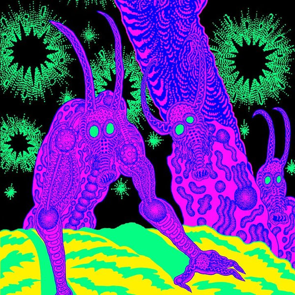 OSEES - ABOMINATION REVEALED AT LAST (PRE - ORDER) - LEVITATION