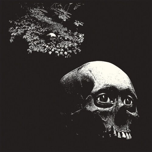 Osees - Foul Form - LEVITATION