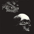 Osees - Foul Form (CD)
