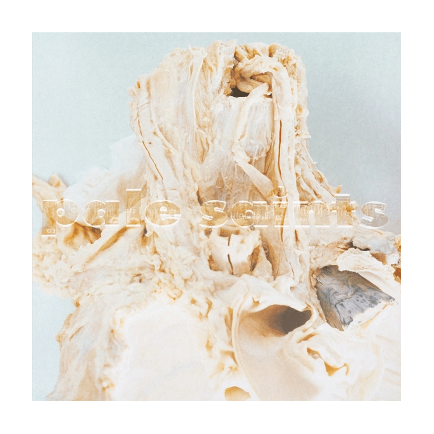 Pale Saints - In Ribbons 2xLP (Deluxe) - LEVITATION