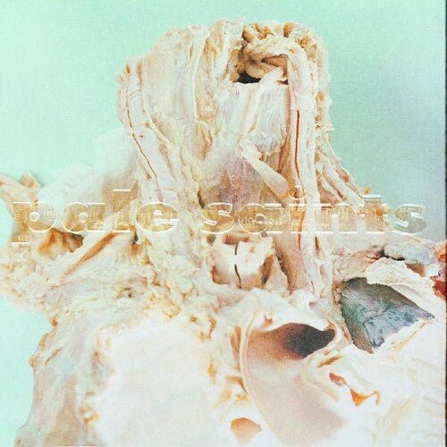 Pale Saints - In Ribbons - LEVITATION