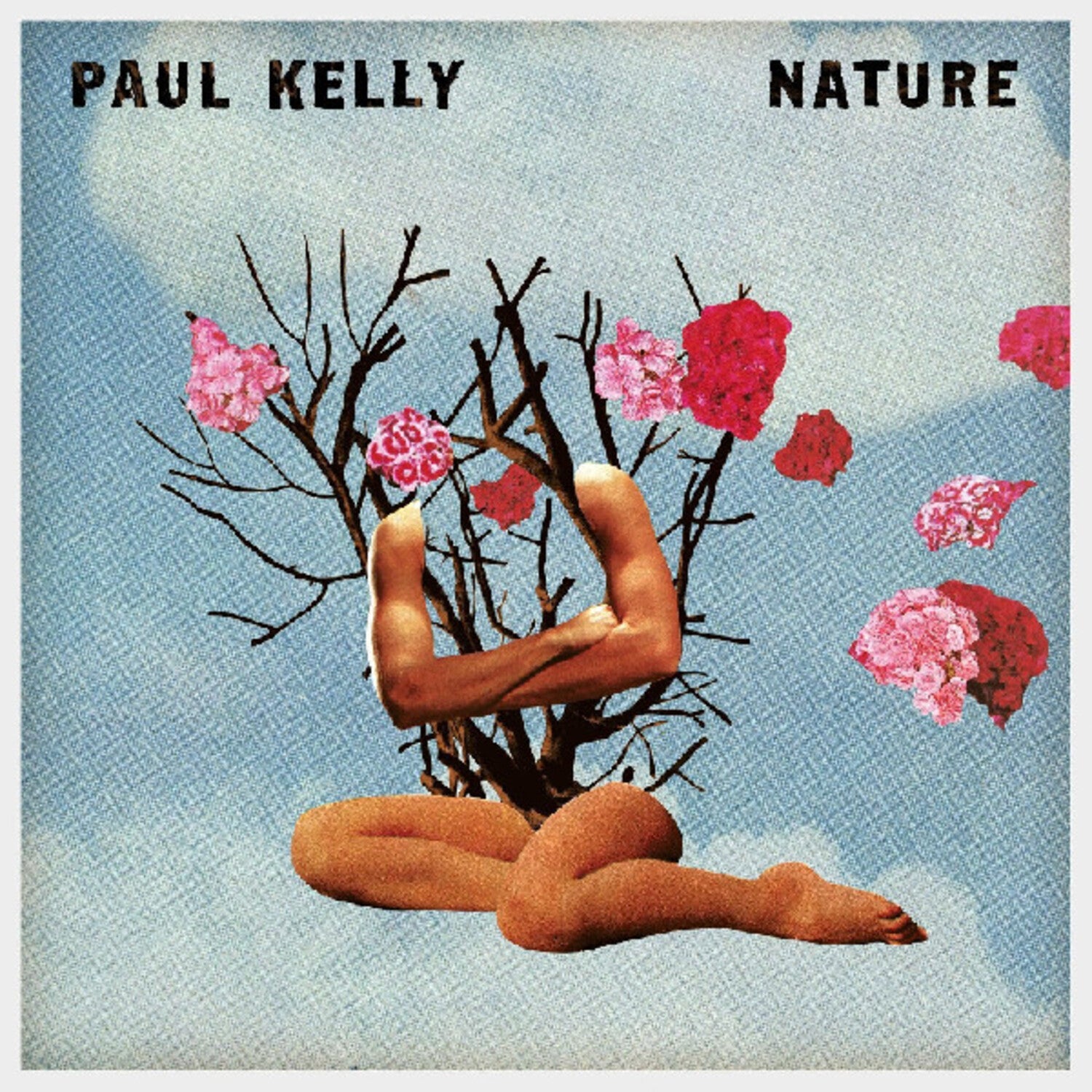 Paul Kelly - Nature - LEVITATION