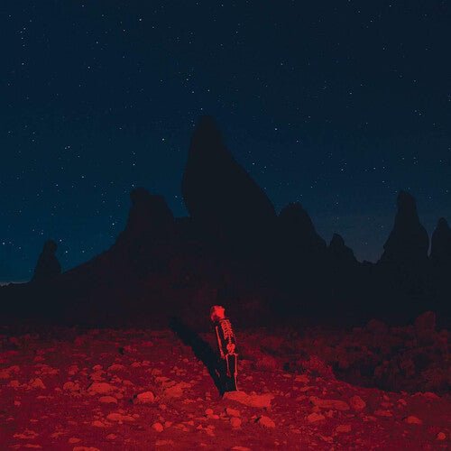 Phoebe Bridgers - Punisher - LEVITATION
