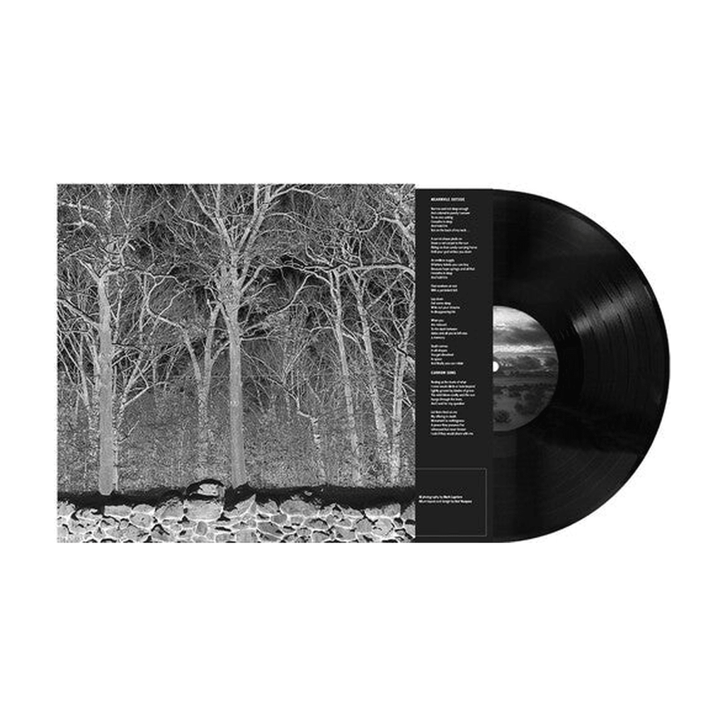 Pile - Sunshine & Balance Beams - LEVITATION
