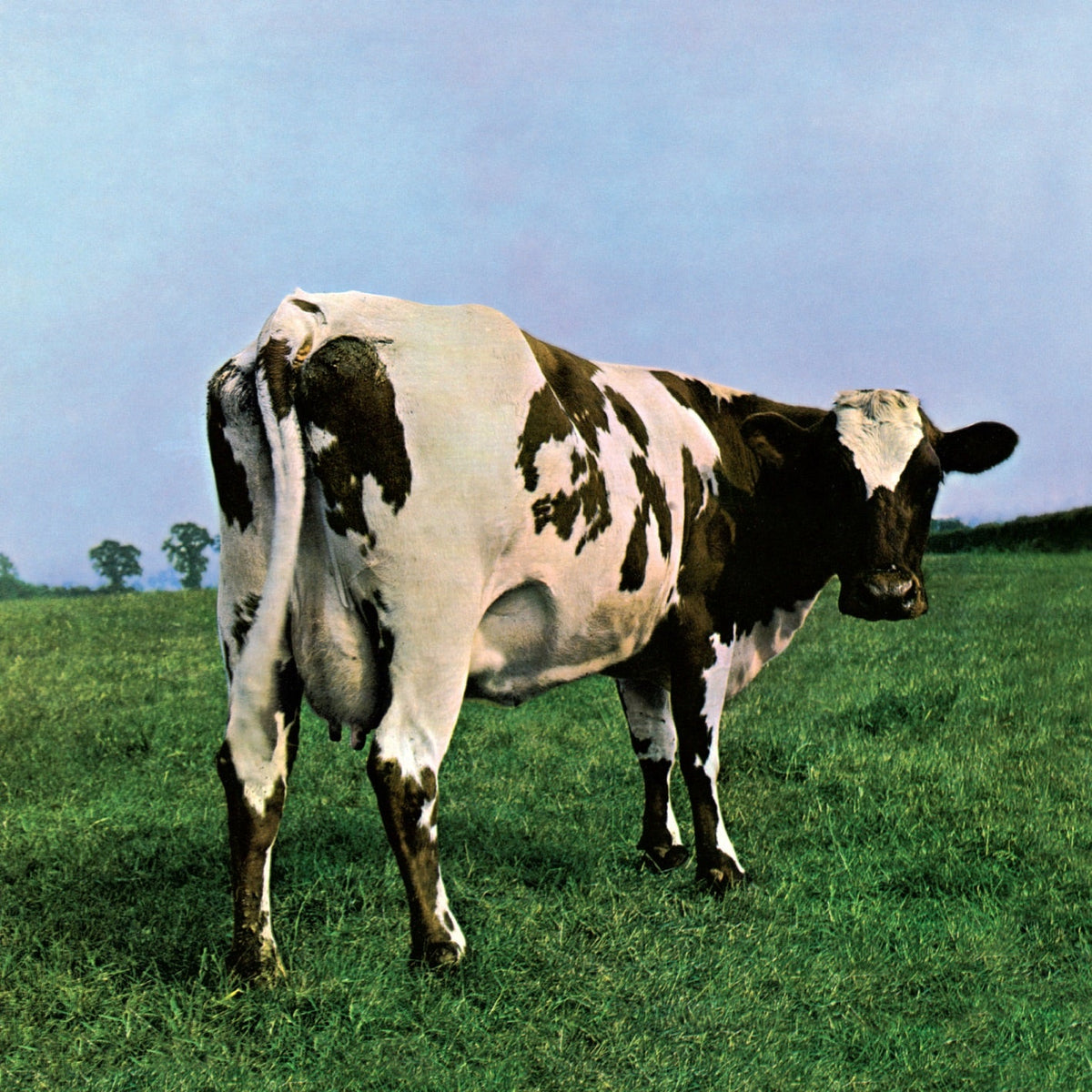 Pink Floyd - Atom Heart Mother (Cd) - LEVITATION