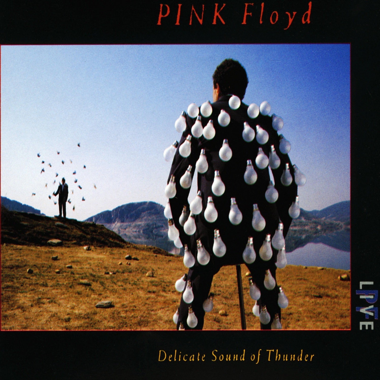 Pink Floyd - Delicate Sound of Thunder (Cd) - LEVITATION