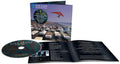 Pink Floyd - Momentary Lapse of Reason (Cd)
