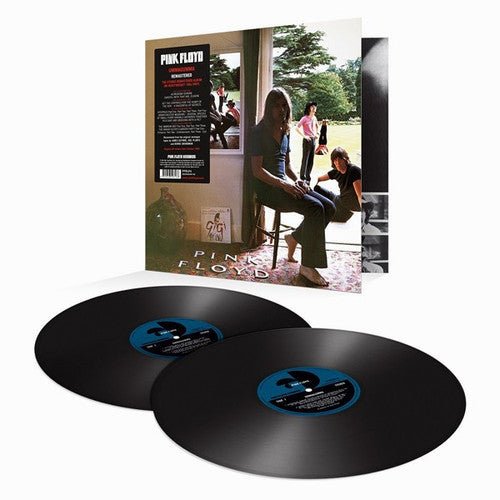 Pink Floyd - Ummagumma - LEVITATION