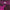 Pink Mountaintops - Pink Mountaintops - LEVITATION