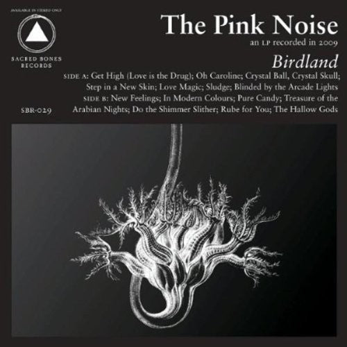 Pink Noise - Birdland - LEVITATION