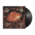 Pixies - Bossanova