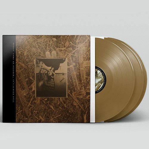Pixies - Come on Pilgrim It's Surfer Rosa - LEVITATION