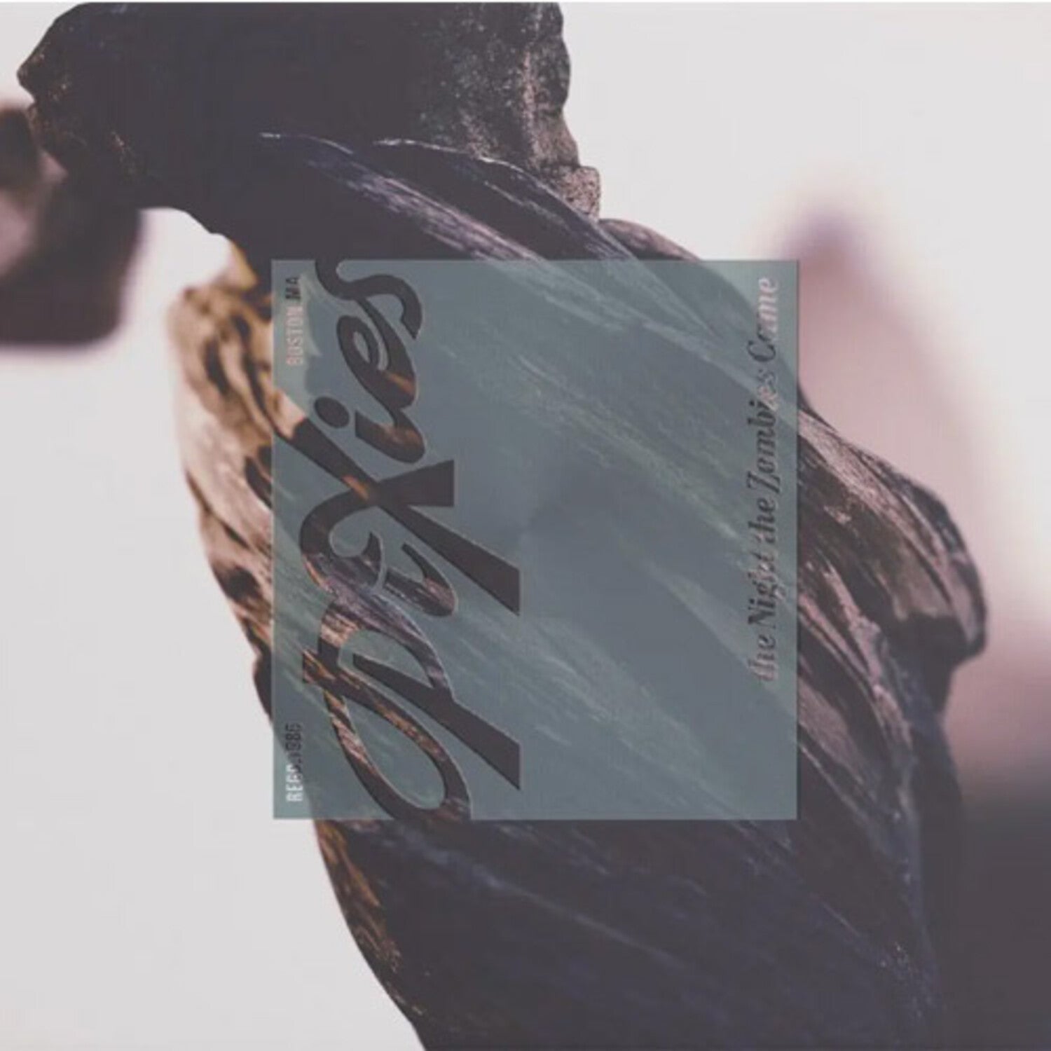 Pixies - Night the Zombies Came (Cd) - LEVITATION