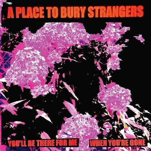Place To Bury Strangers - You'll Be There for Me / When You're Gone - LEVITATION
